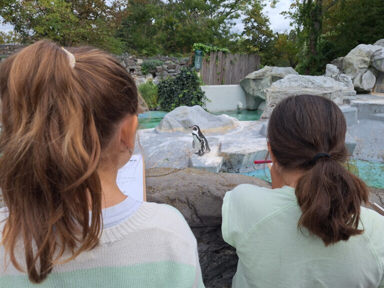 Ein interessanter Tag im Zoo
